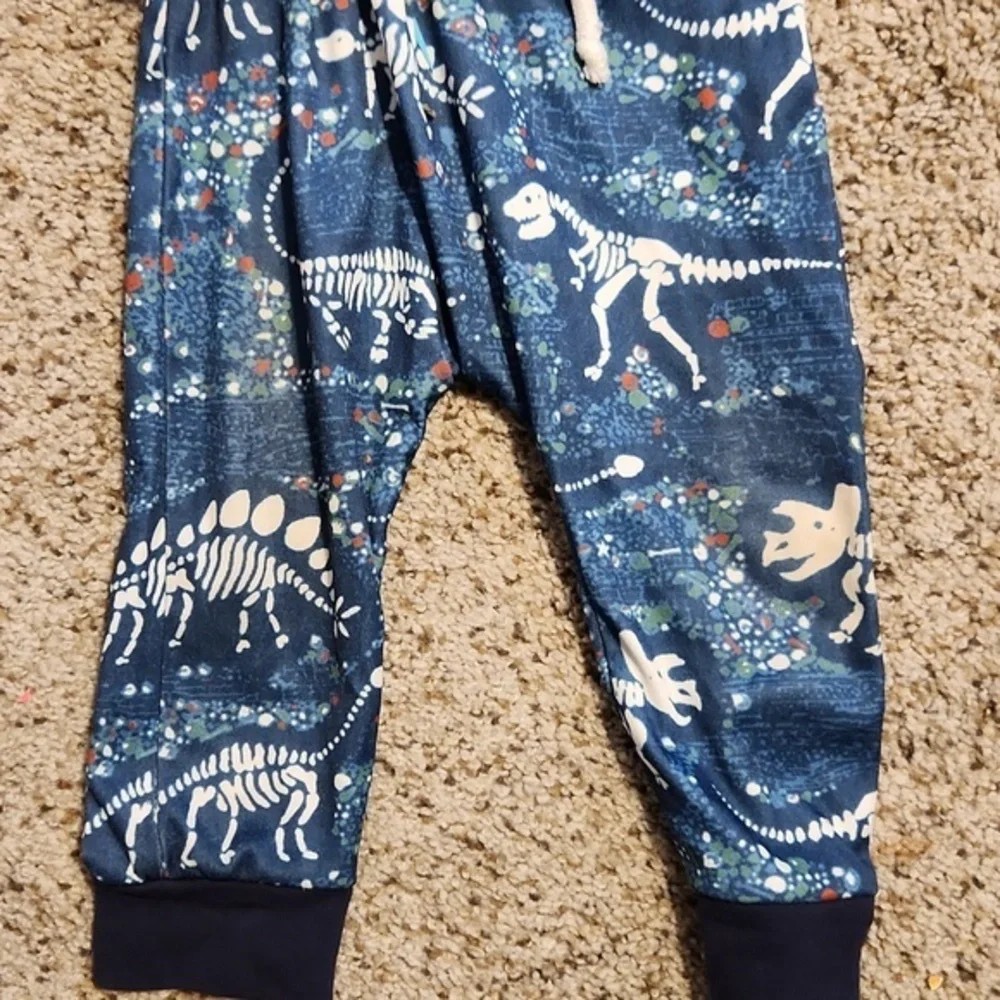 Boys Two Piece Matching‎ Dinosaur Jogging Suit